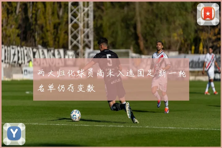 两大归化球员尚未入选国足 新一轮名单仍存变数
