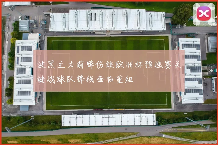 波黑主力前锋伤缺欧洲杯预选赛关键战球队锋线面临重组