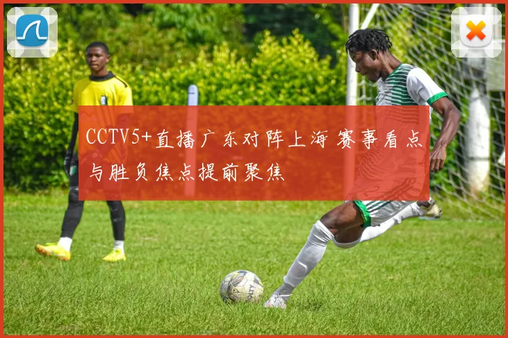 CCTV5+直播广东对阵上海 赛事看点与胜负焦点提前聚焦
