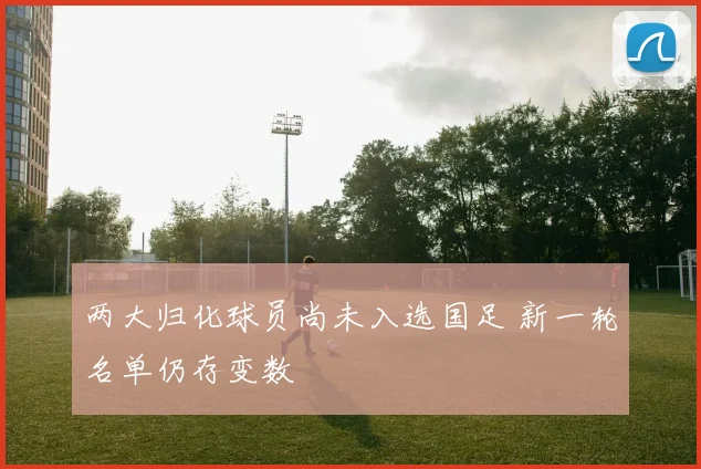 两大归化球员尚未入选国足 新一轮名单仍存变数
