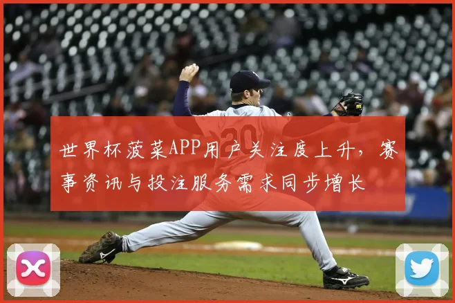 世界杯菠菜APP用户关注度上升，赛事资讯与投注服务需求同步增长