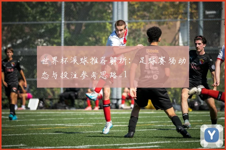 世界杯滚球推荐解析:足球赛场动态与投注参考思路_1